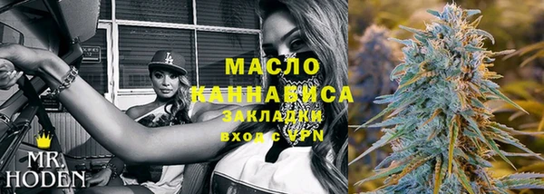 гидра Кодинск
